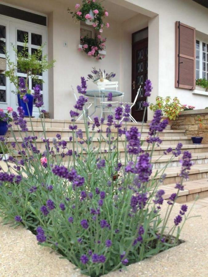 Ferienwohnung Les Portes Du Vignoble Nuits-Saint-Georges Exterior foto